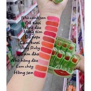 son nha đam