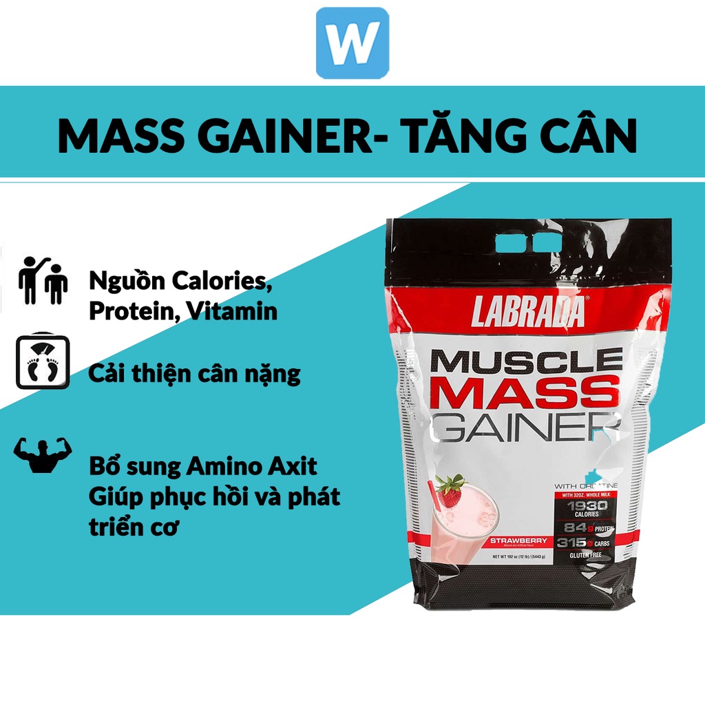 Sữa tăng cân Muscle Mass Gainer 12Lbs - Dinh Dưỡng Tăng Cân Tăng cơ