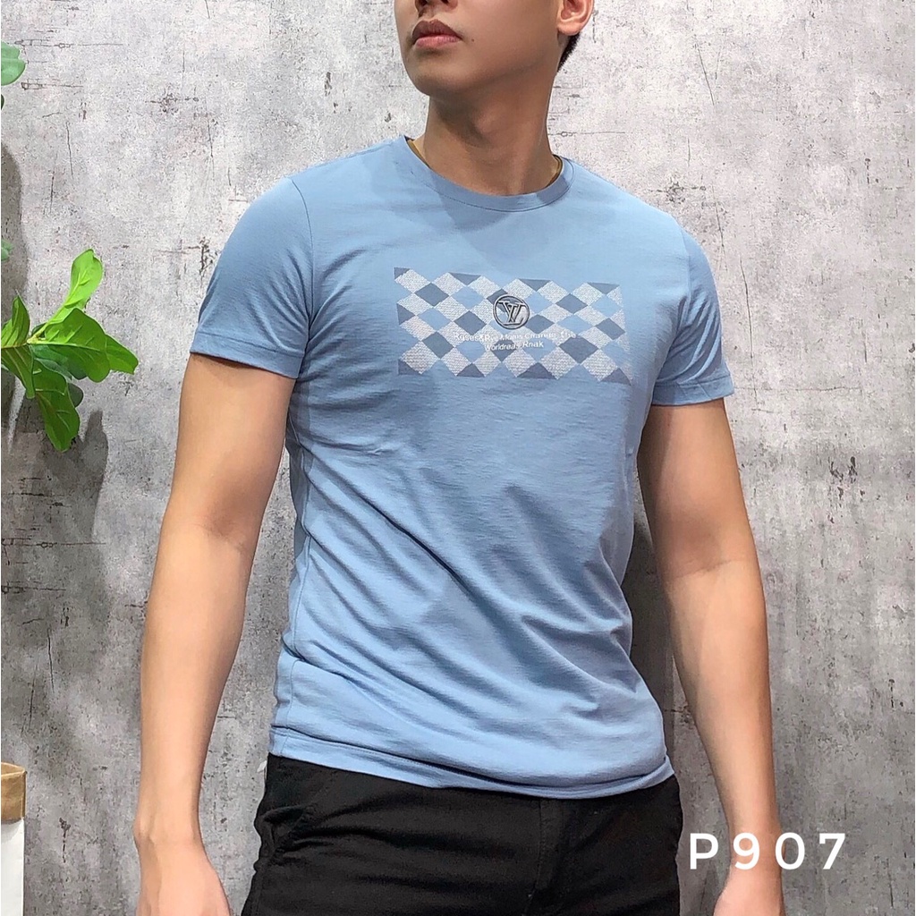Áo thun nam cổ tròn ngắn tay bigsize áo phông thời trang cao cấp APNH - 29 - P907