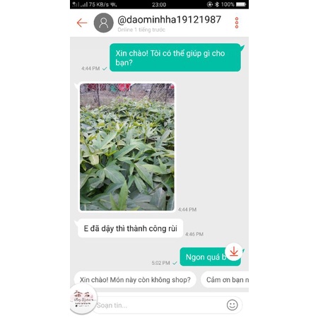 Rau lang siêu ngọn