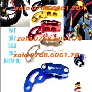 Pass kẹp dây dầu rizoma đủ màu
