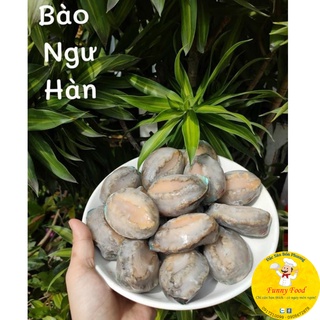 Bào ngư hàn quốc nissi nhập khẩu 500g loại đặc biệt rẻ nhất hcm - size - ảnh sản phẩm 6