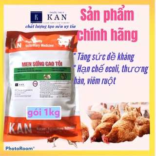 Men sống chịu kháng sinh bổ sung cao tỏi cho gia súc gia cầm