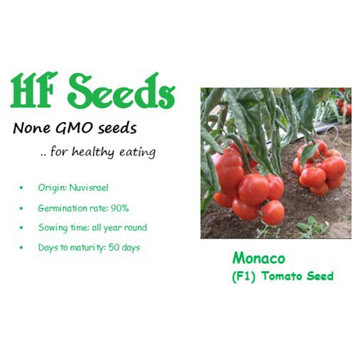 [Hạt giống Israel] Hạt giống Cà chua chịu nhiệt Isreal - Monaco tỷ lệ nảy mầm 95% (5 hạt)