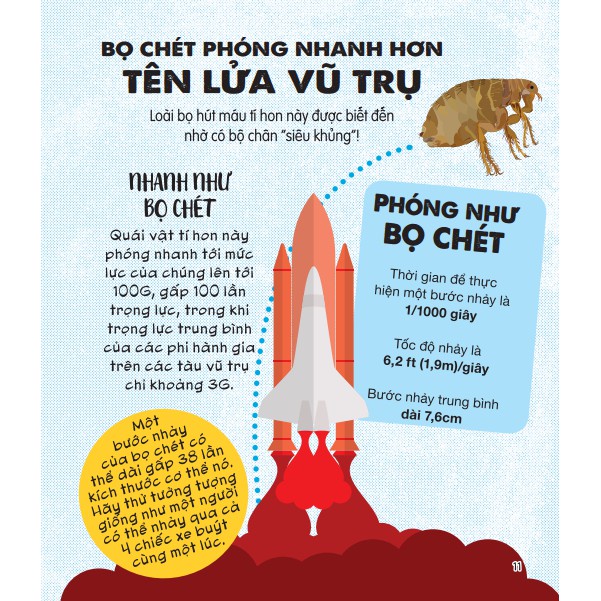 Sách - Micro Facts ! Cùng Bé Khám Phá 500 Điều Thú Vị Về Khoa Học Tặng Kèm Bookmark