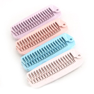 Lược Chải Tóc (Lược Gấp Mini Bỏ Túi Xách)