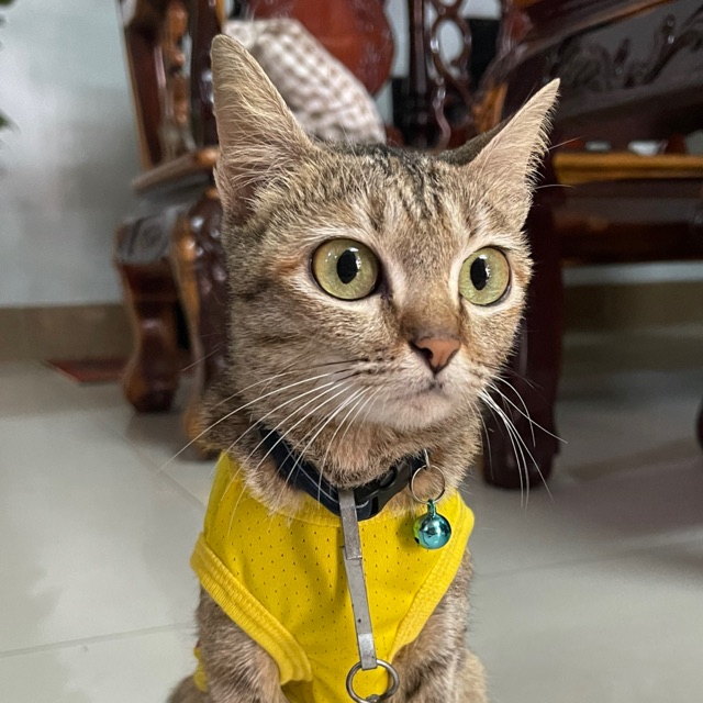 Đặc Sản Phan Thiết