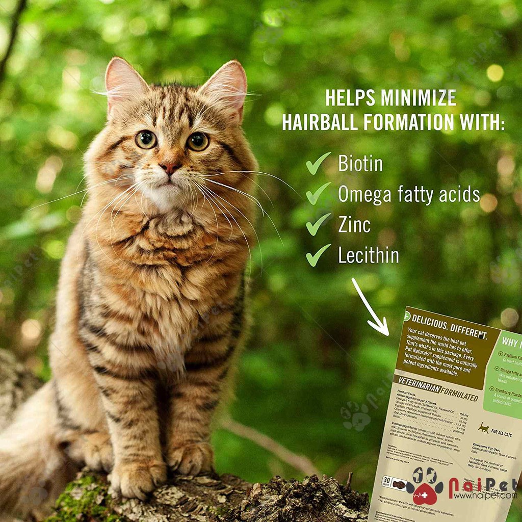 Viên Nhai Hỗ Trợ Da Lông Và Trị Búi Lông Cho Mèo HairBall Pet Naturals Túi 30 Viên