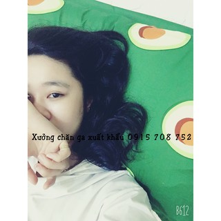 bộ chăn ga gối cotton poly quả bơ