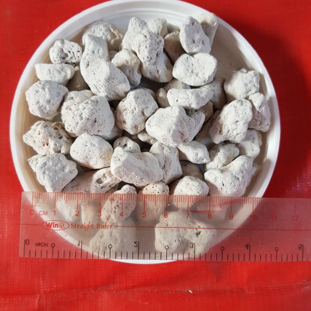 Đá Lông Vũ / Nham Thạch Trắng / Pumice 1-2cm (vật liệu lọc bể cá hoặc trộn đất trồng cây) (túi 1kg)