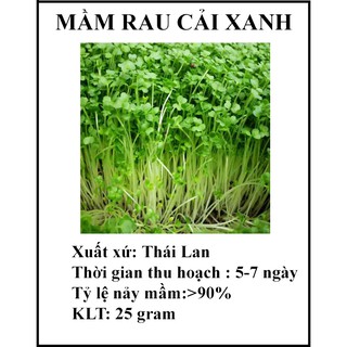 20 gram Hạt giống rau mầm cải xanh