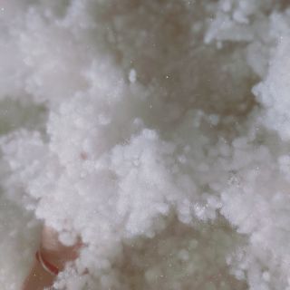 Bông gòn bi (hạt) 50k/1kg