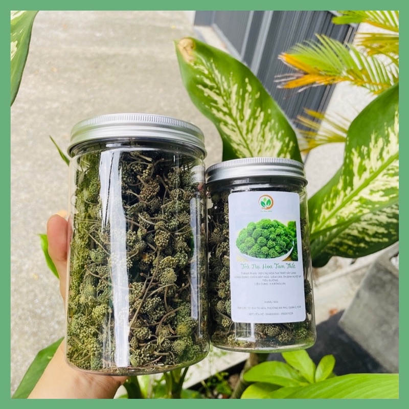 Trà nụ tam thất-Tam ventricular bud tea