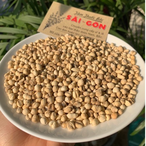 Xuyên Bối Mẫu 100g - Bối Mẫu Tứ Xuyên (Hàng cao cấp, thơm, nhiều dược chất)