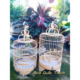 Lồng Vành Khuyên Tre