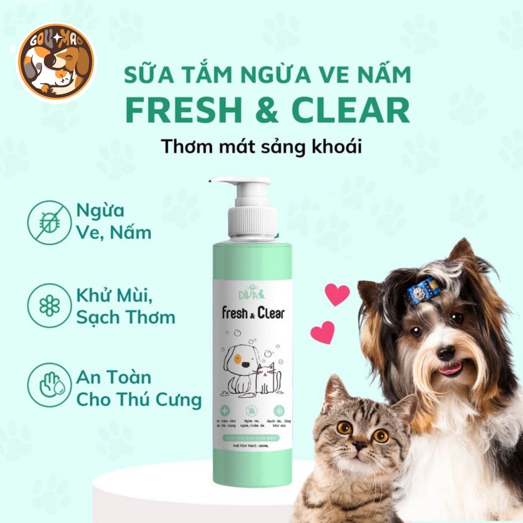 Sữa tắm Diva chuyên dụng cho Spa- Sữa tắm cho chó thơm-mềm- mượt- an toàn số 1 - GouMaoPet