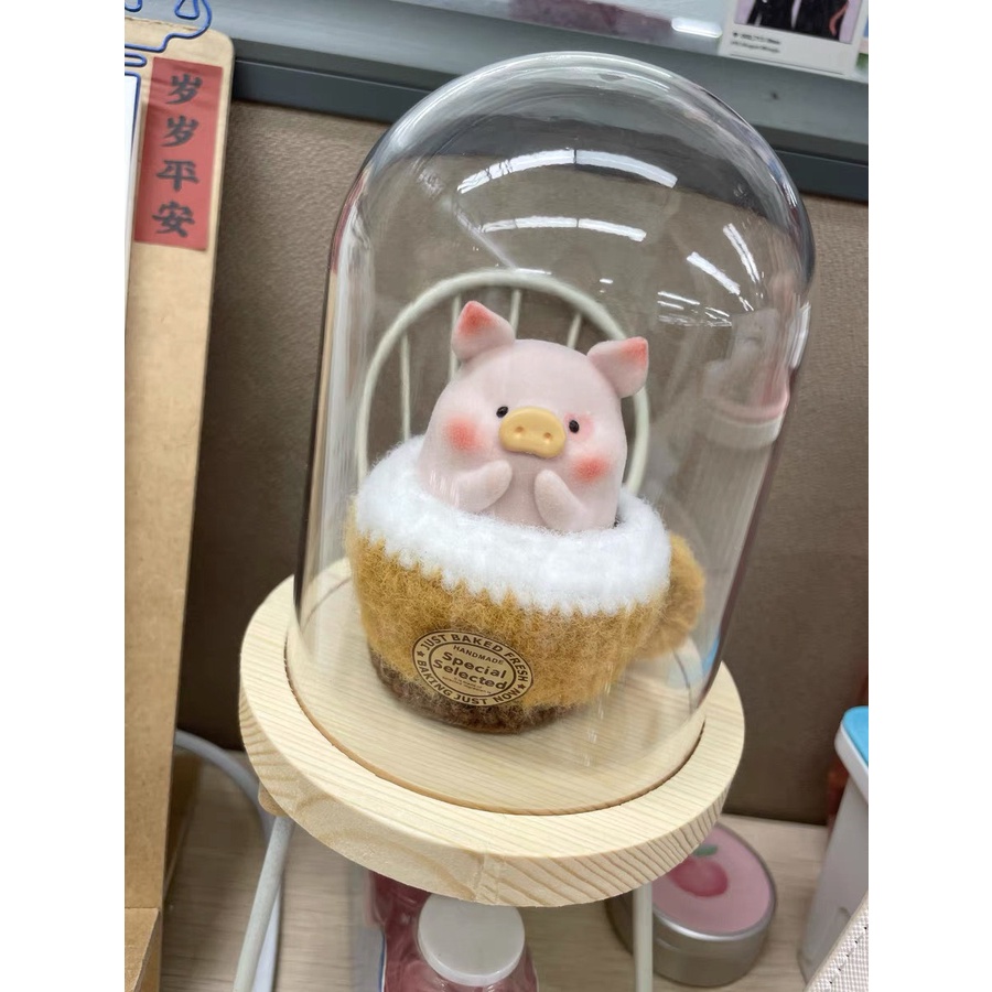 Hộp trưng bày đế gỗ