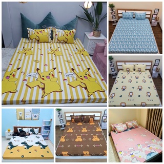 Bộ ga gối cotton poly mẫu mới