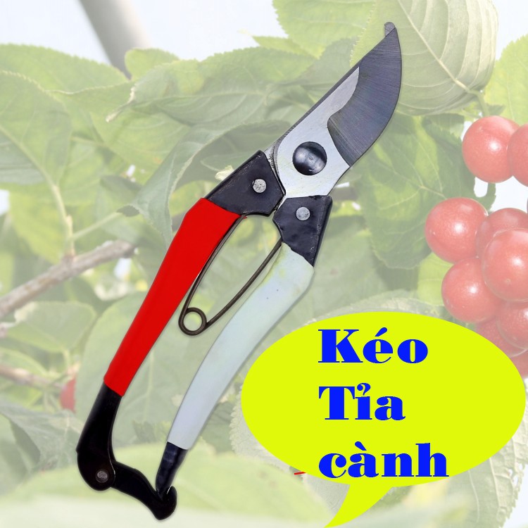 Kéo cắt tỉa cành cây xanh giá rẻ