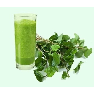 bột diếp cá sấy lạnh lọ 500gram