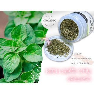 Kinh giới cay - Oregano