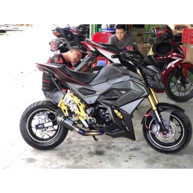 Cánh chim mỏ cày Honda MSX125 SF date 17-21
