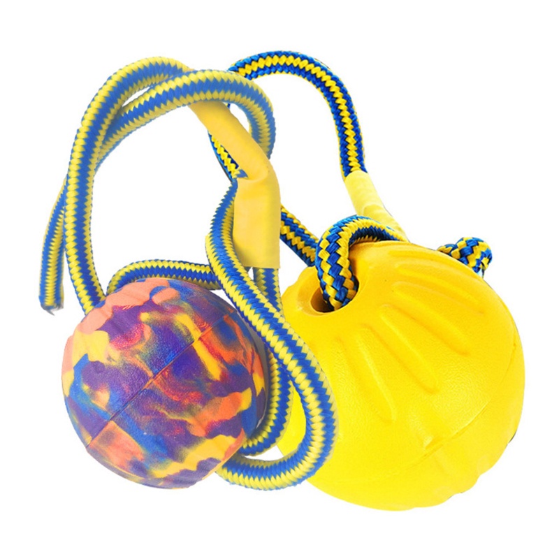 Bộ 4 Đồ Chơi Đuổi Bắt Chó Bằng EVA Thú Vị