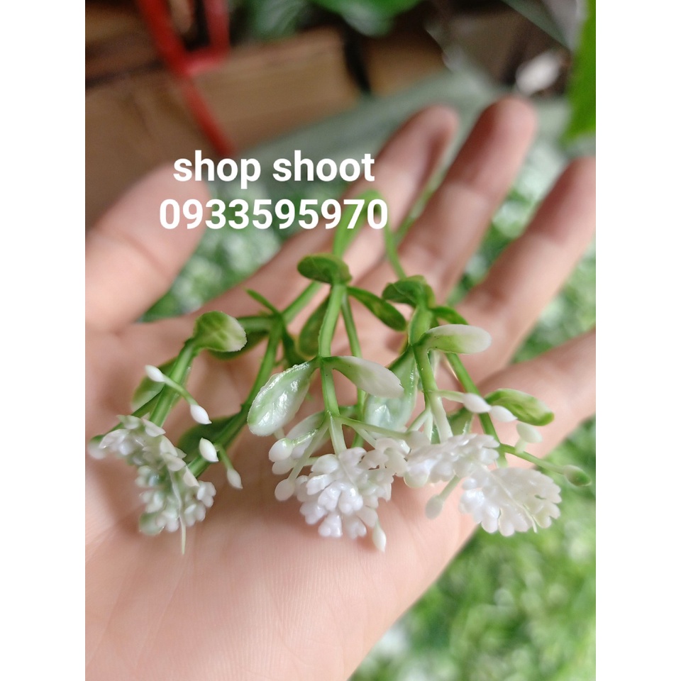 Combo cỏ ký hoa điểm trang trí