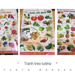 Bộ tranh treo tường cho bé