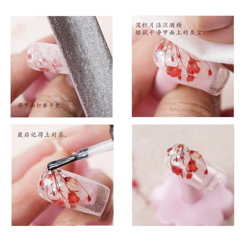Khay 12 loai Hoa khô trang trí móng 3D - Hoa Nhỏ - Hoa nhỏ