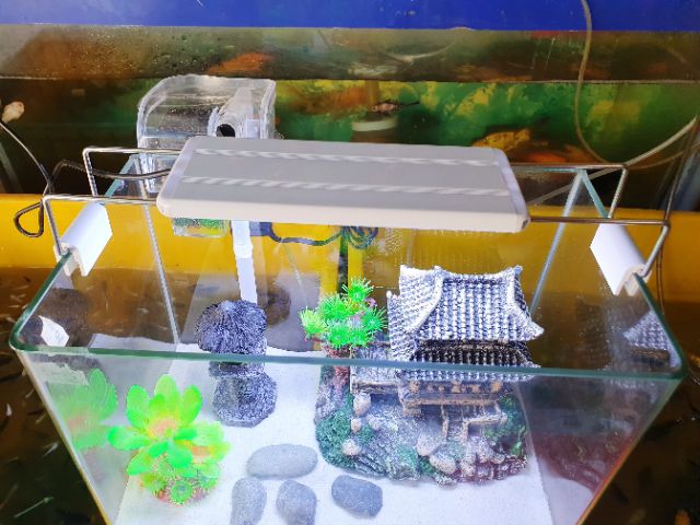 COMBO HỒ CÁ TRANG TRÍ 30x17x20cm