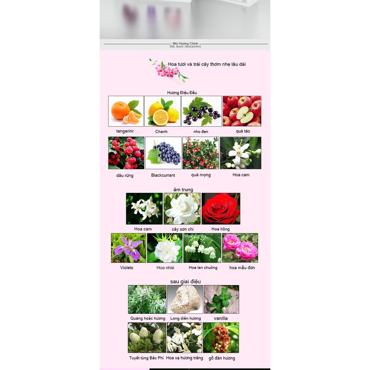 Nước Hoa Nữ Thơm Lâu Cao Cấp Sét 3 Chai Nước Hoa Hương Thơm Quyến Rũ 3*25ml - Barlow Store