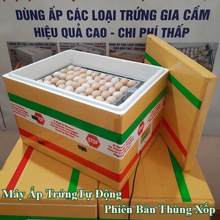 Máy ấp thùng xốp 120 trứng gà