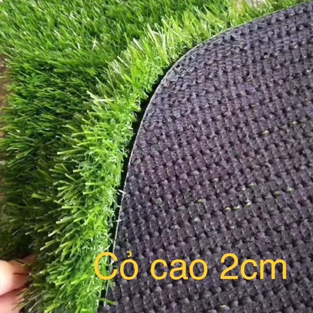Thảm cỏ nhân tạo trải sân vườn, trường mầm non