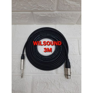Cáp Chuyển Đổi Âm Thanh Từ Giắc Cắm Bắp Chuối Sang Cổng XLR Cái 3M