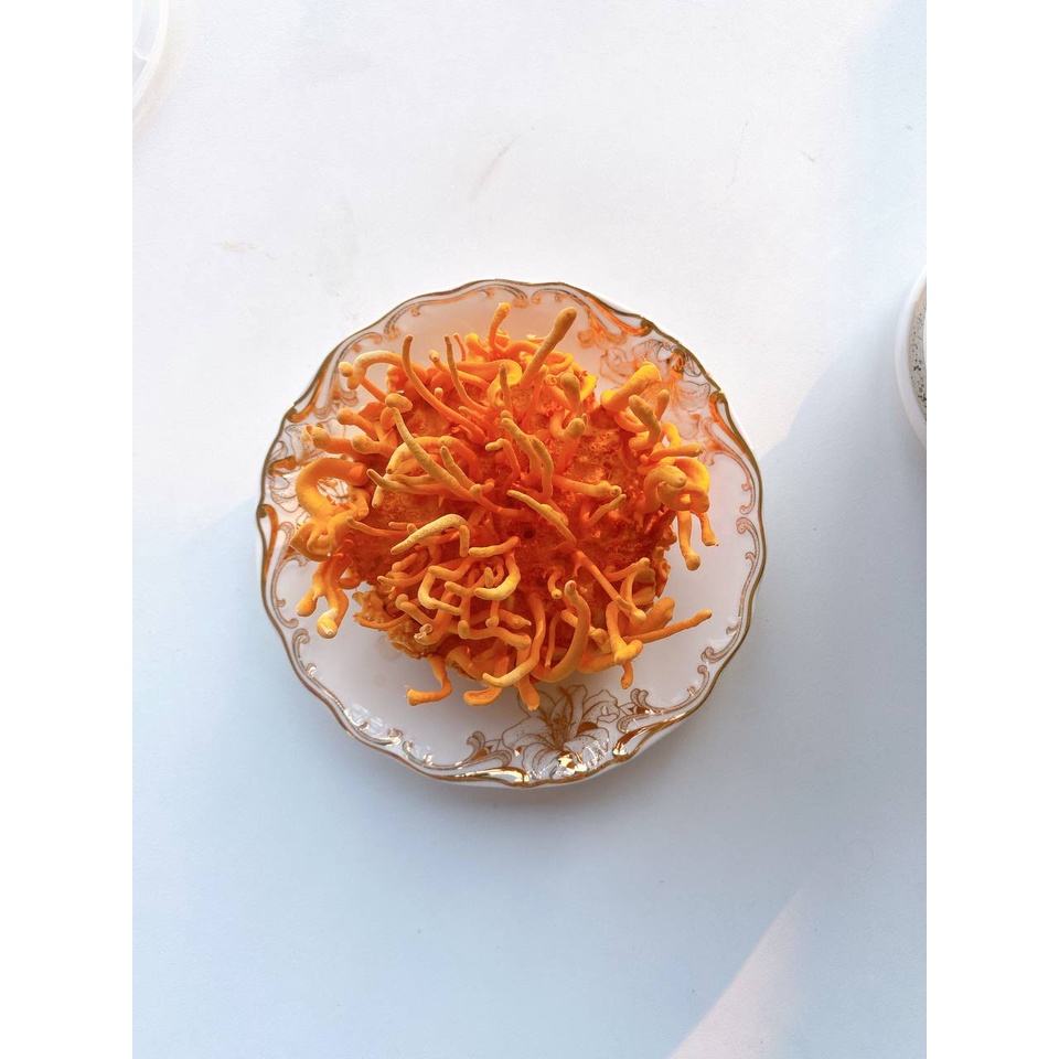 Đông trùng hạ thảo Mộc Hương Sơn loại thượng hạng 150gr