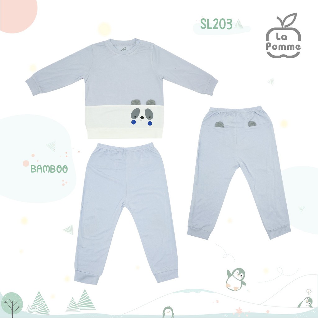 BỘ DÀI GẤU TRÚC