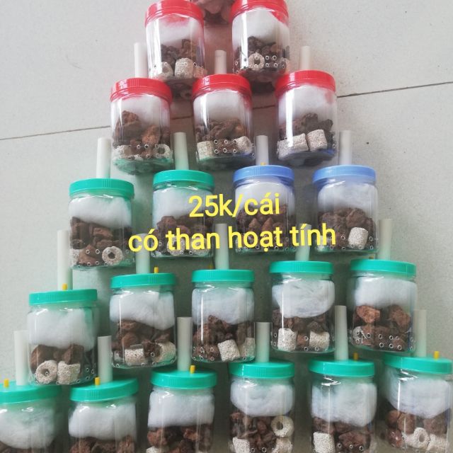 Combo 6 lọc chế và 200 tảo viên