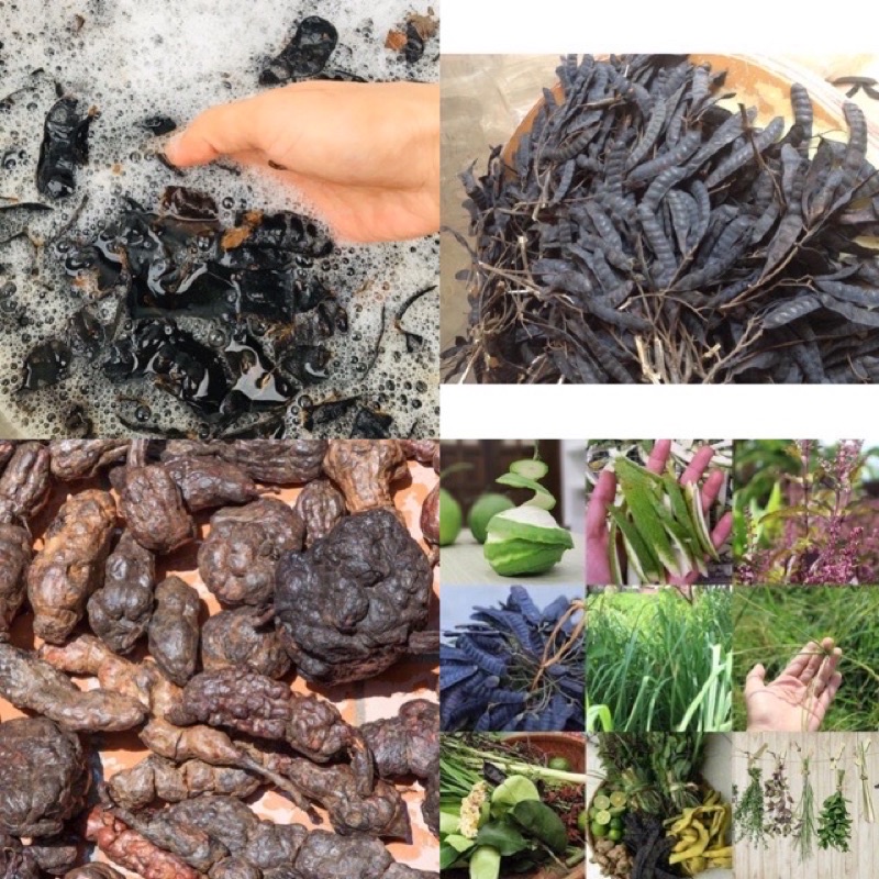 500ml NƯỚC THẢO DƯỢC GỘI ĐẦU 💯 ORGANIC HOMEMADE