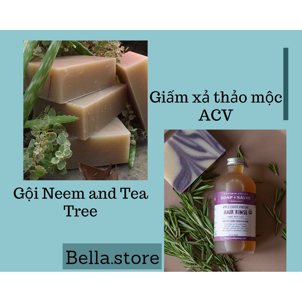 [Organic] Soap gội đầu thảo mộc hữu cơ cho tóc dầu, giảm gàu Chagrin Valley Neem and Tea Tree