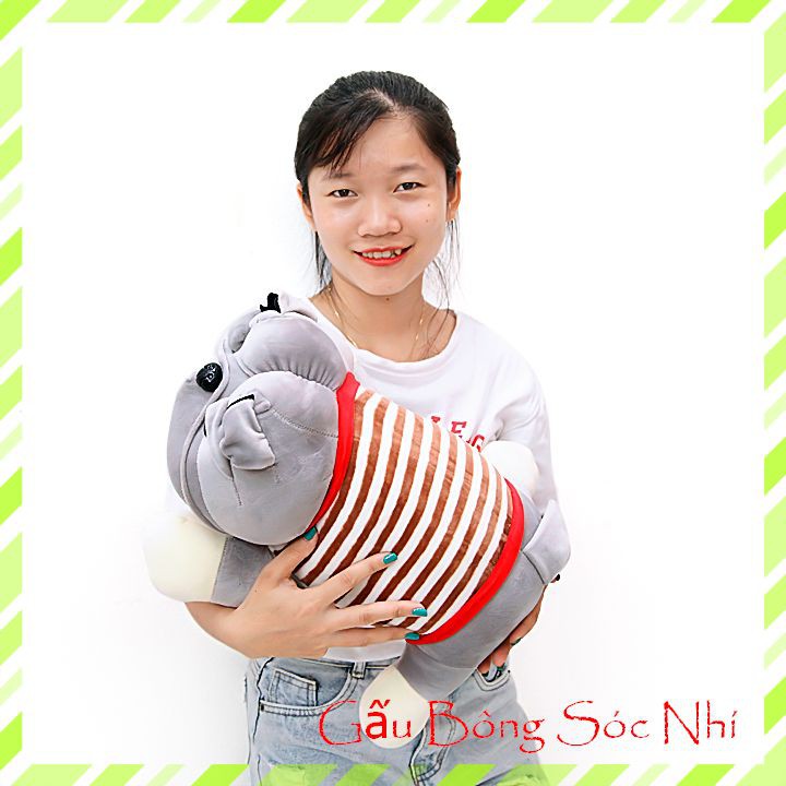 Gấu Bông Chó Mặt Xệ Size 30cm  FREESHIP  Gấu Bông Sóc Nhí