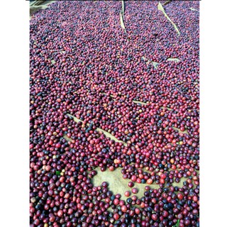 1KG CÀ PHÊ BỘT RANG MỘC 100% ROBUSTA