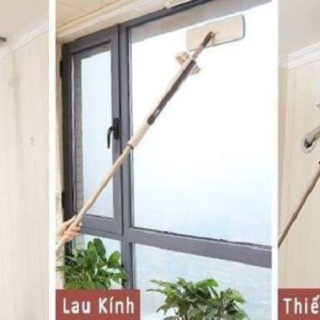 cây LAU NHÀ TỰ VẮT,,