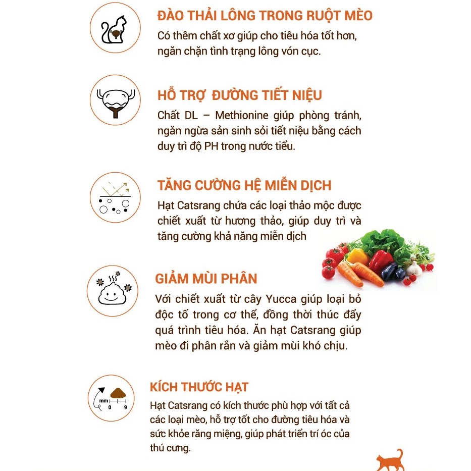 Catsrang 400g Nhập Khẩu - Thức ăn mèo mọi độ tuổi