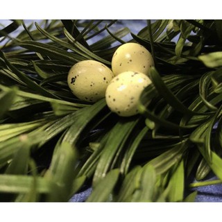 (1 bịt) kẹo trứng khủng long