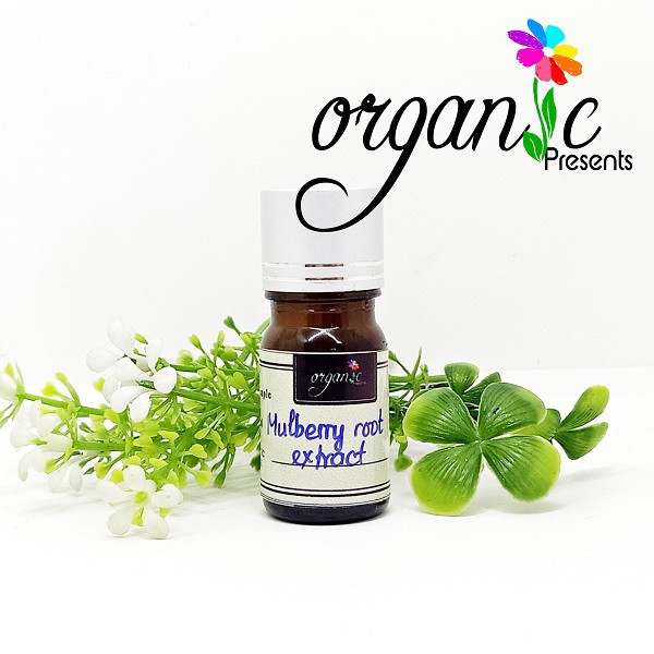 MULBERRY ROOT EXTRACT (CHIẾT XUẤT RỄ DÂU TẰM)