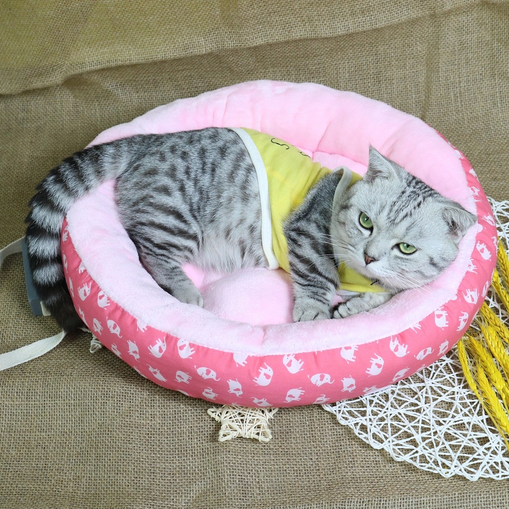 [Ảnh thật] Nệm bông họa tiết trái cây - con voi cho chó mèo dưới 6kg