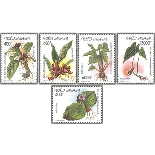 Tem sưu tập Việt Nam MS 799 Hoa Cây Thuốc 1999 (5 tem )