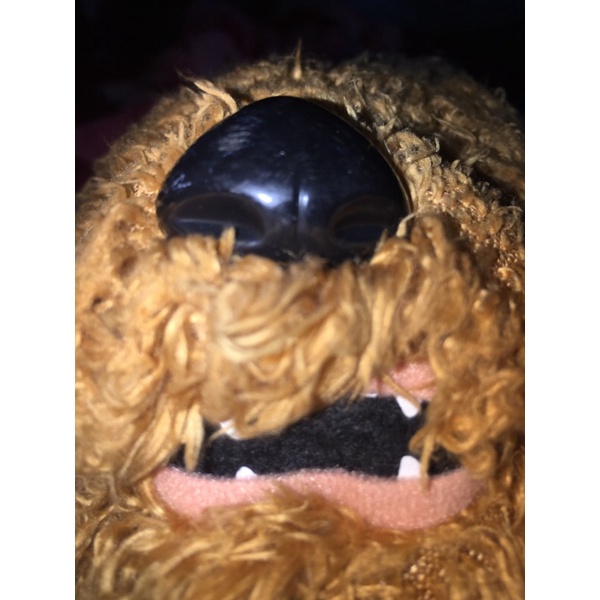 gấu đồng giá 100k