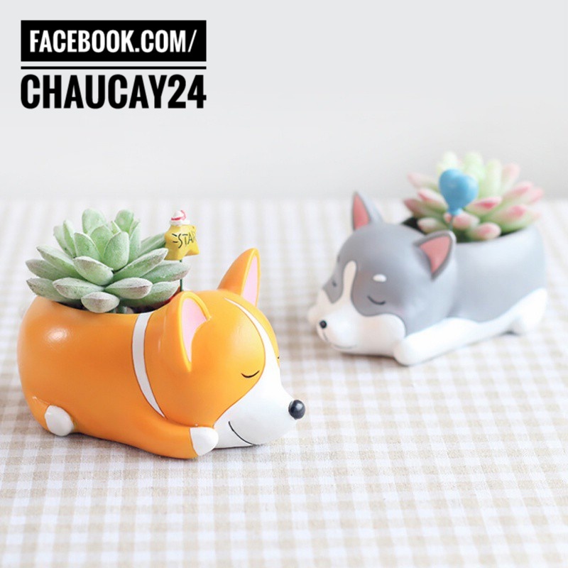 Chậu chú chó corgi - Trồng Cây Cảnh Trang Trí Để Bàn, sen đá, xương rồng